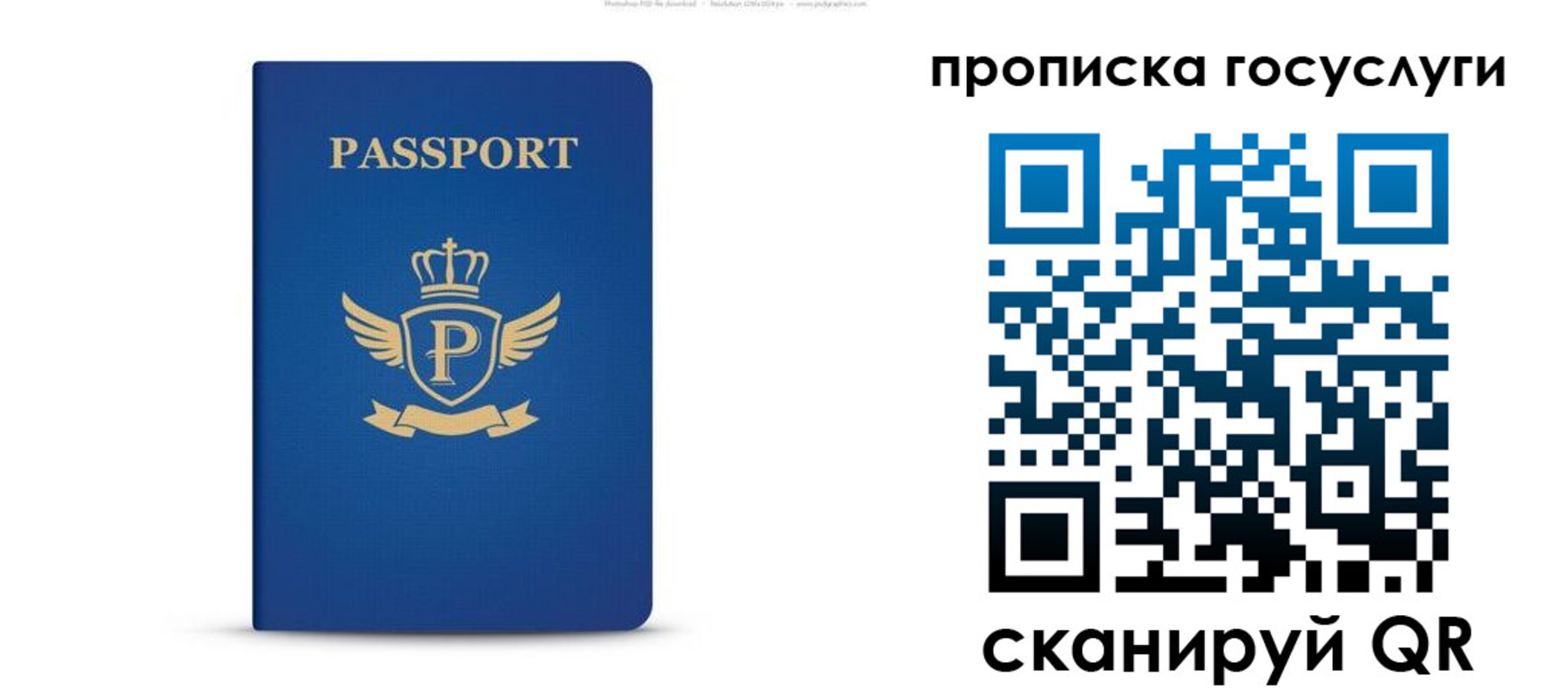 прописка для школы в Таганроге